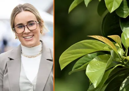 Rose Nash | Natural Capital Update | Galbraith