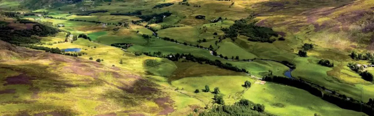 The Scottish Estate Market : The Scottish Estate Market