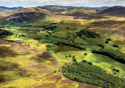 The Scottish Estate Market