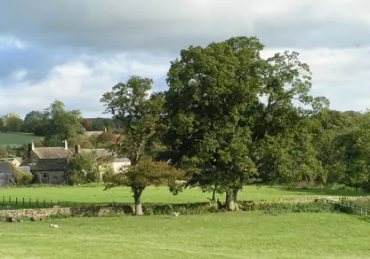 Countryside | Galbraith