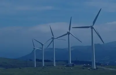 Windfarm-Banner